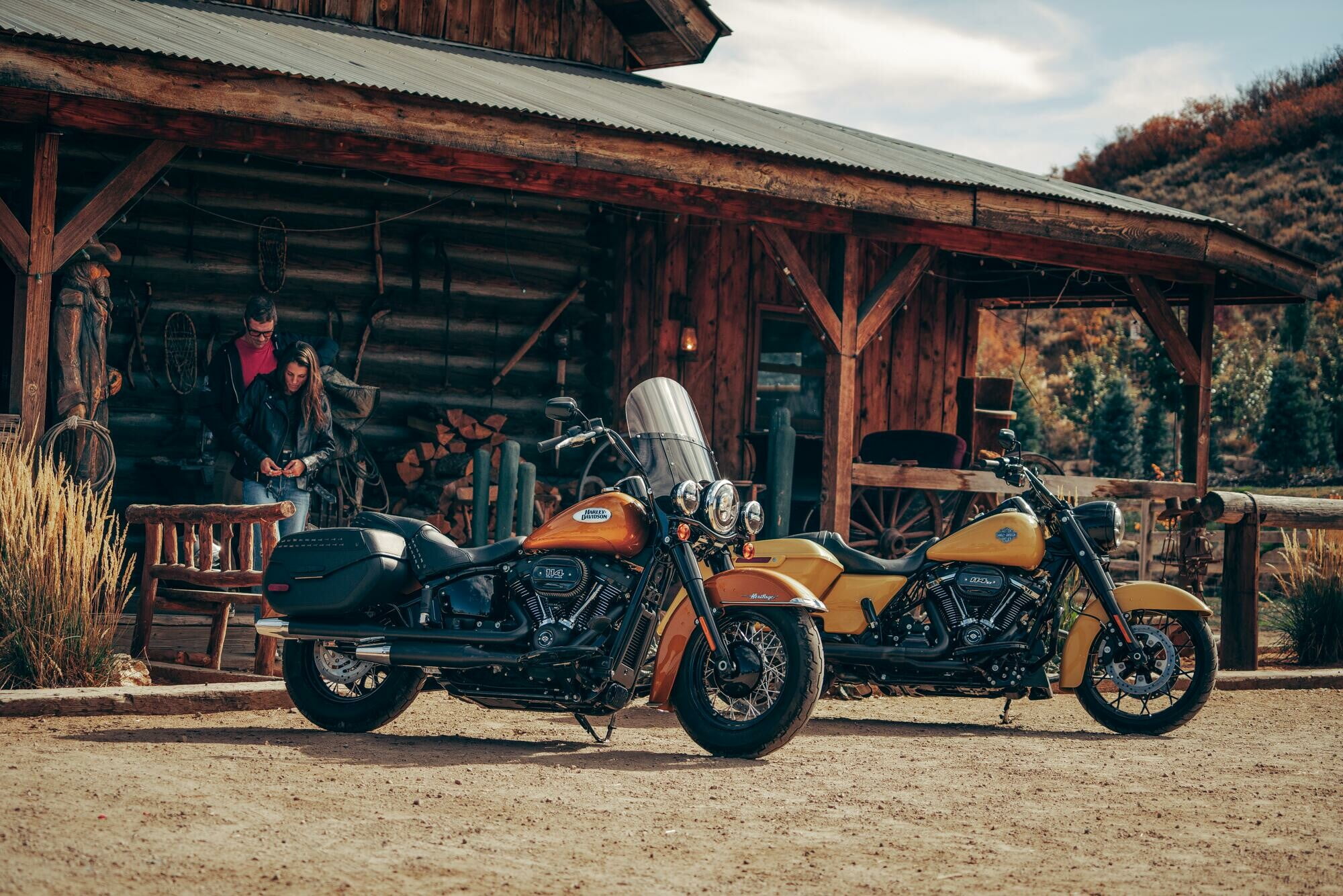 Harley davidson sales by year deals